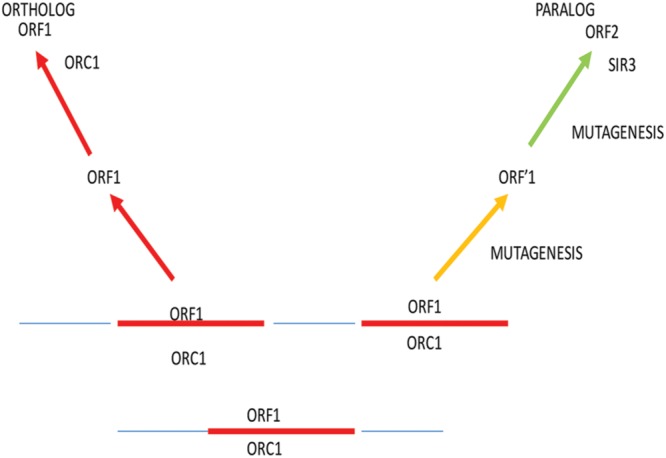 FIGURE 1