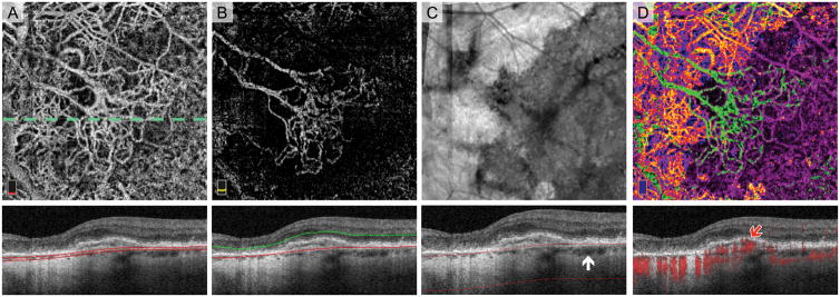 Fig. 8