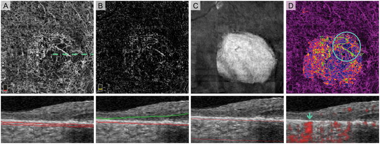 Fig. 7