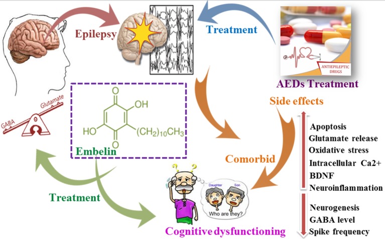 Graphical Abstract