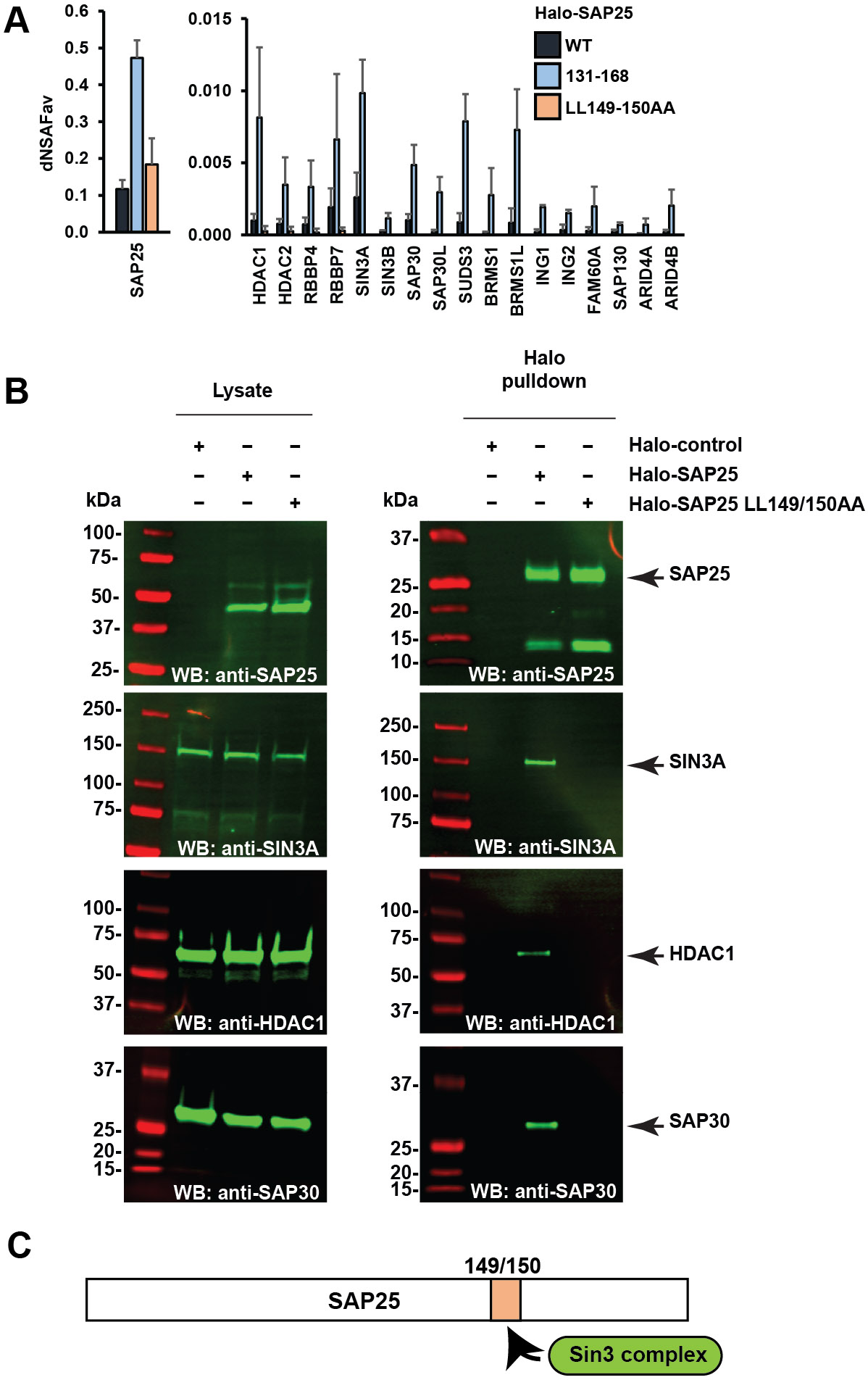 Figure 3: