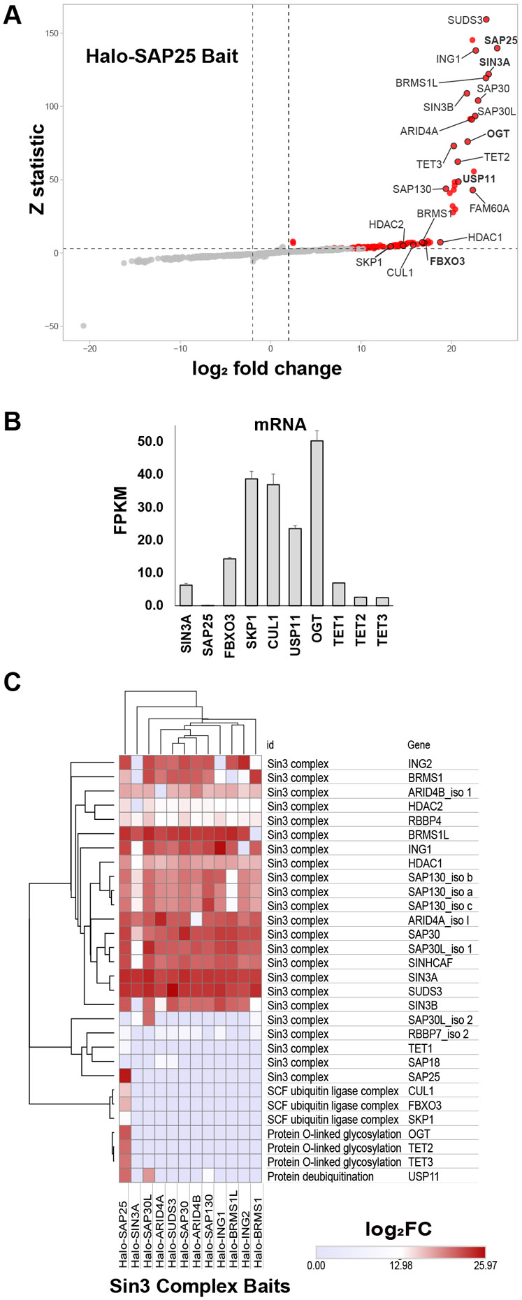 Figure 1: