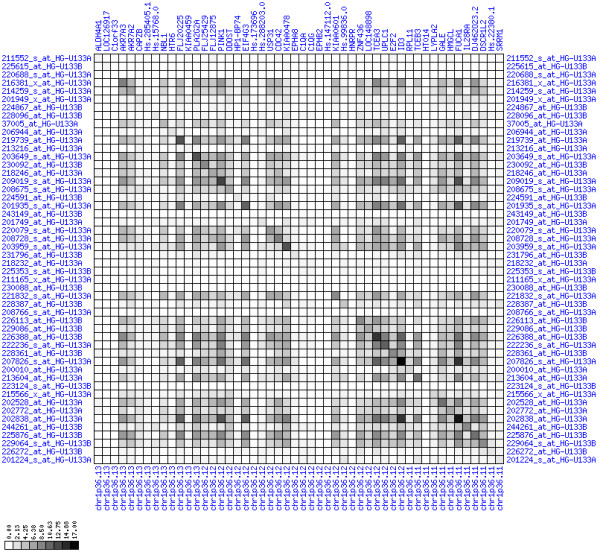 Figure 11