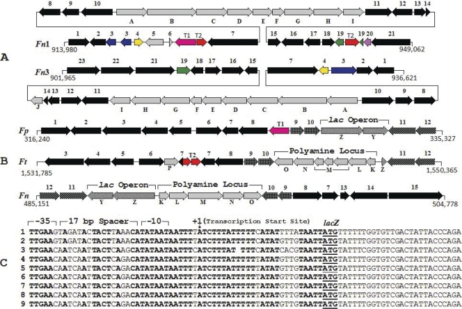 Fig. 4.