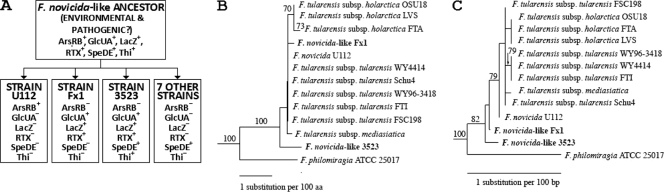 Fig. 5.