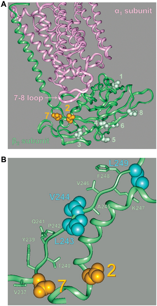 FIGURE 9