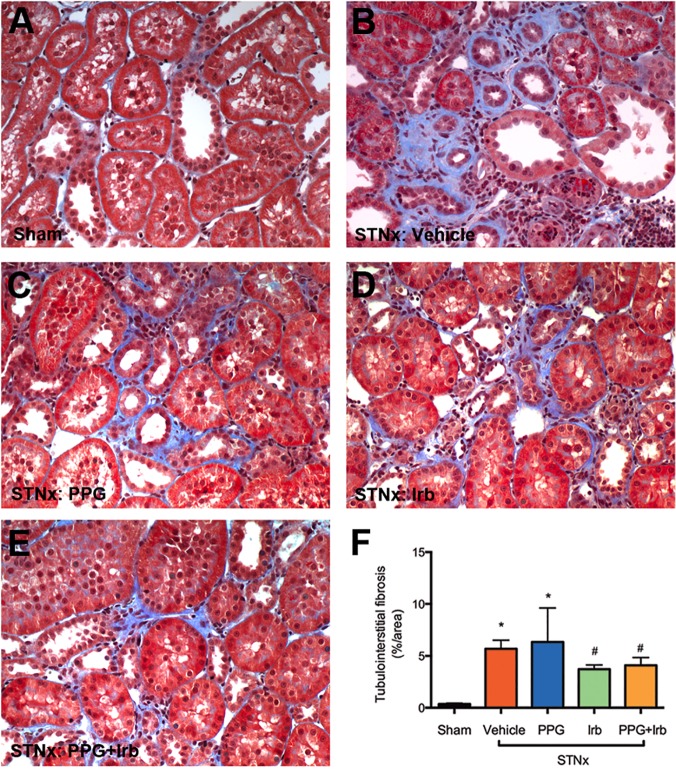 Fig 9