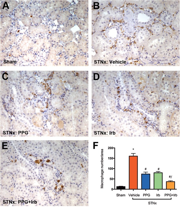 Fig 6