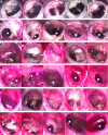 <b>FIG. 4.</b>