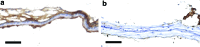 <b>FIG. 5.</b>