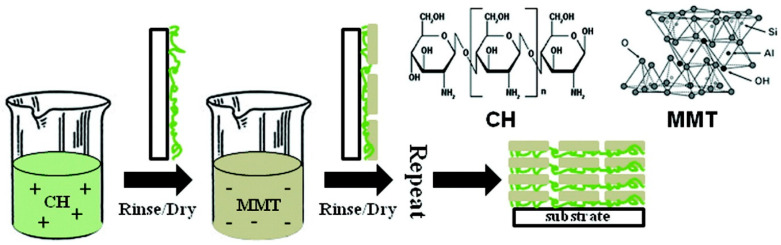 Figure 24