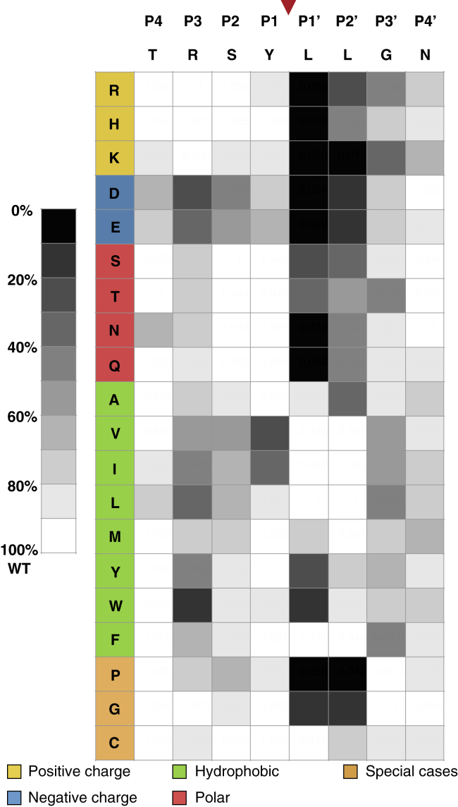 Figure 4