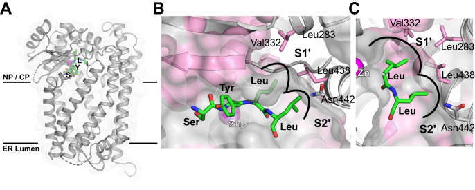 Figure 6