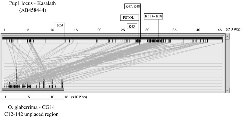 Fig. 5