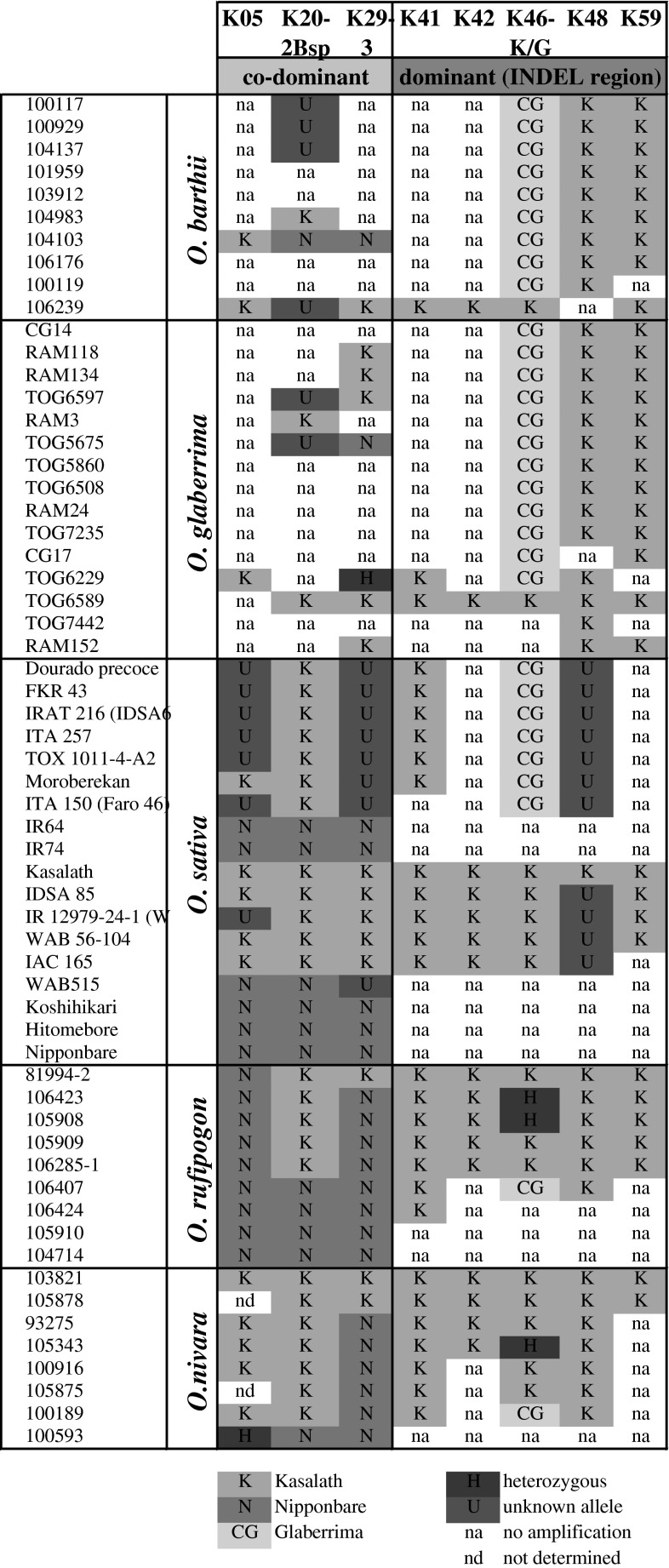 Fig. 6