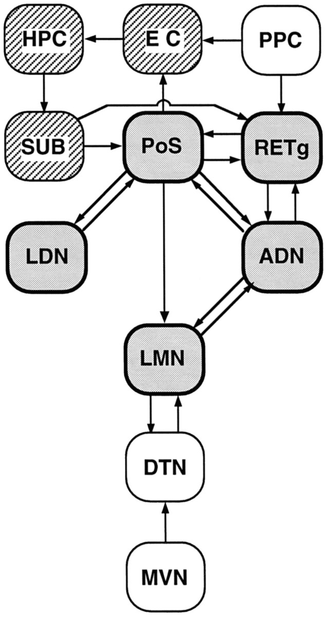 Fig. 10.