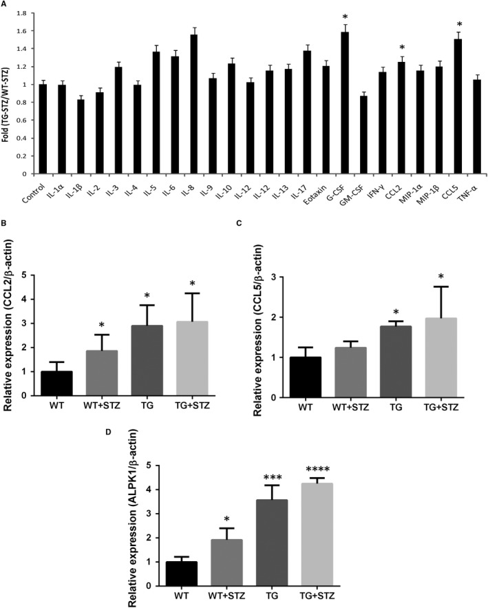 Figure 4