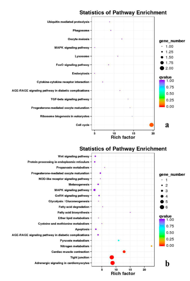 Figure 20