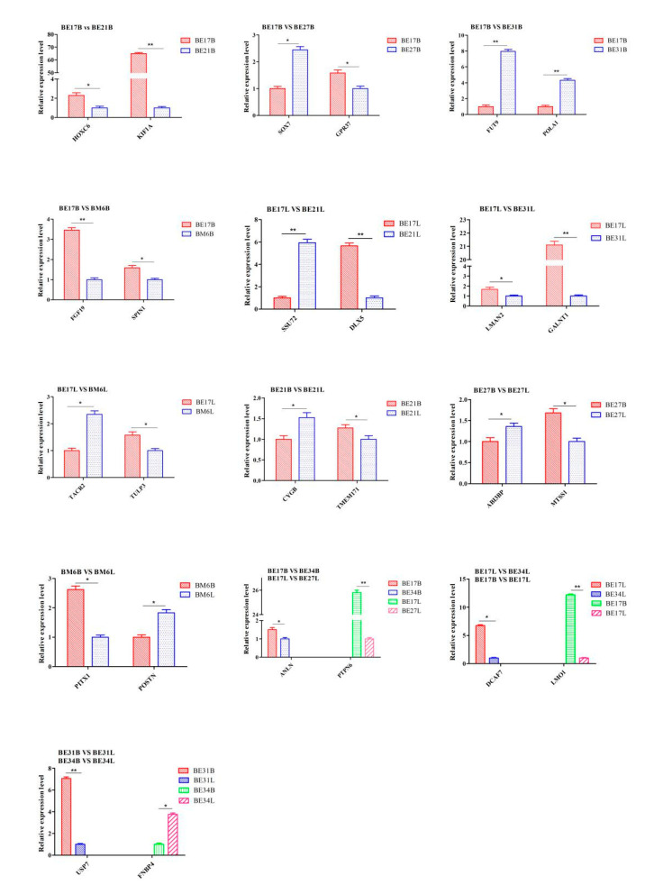 Figure 21