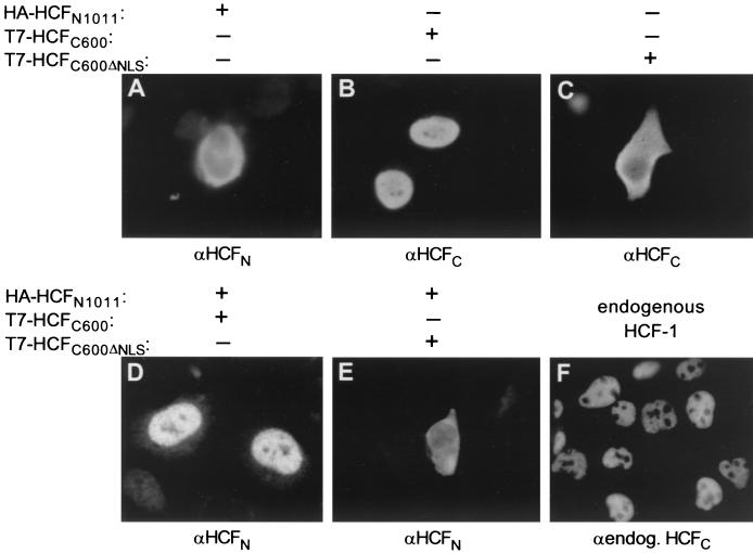 FIG. 7