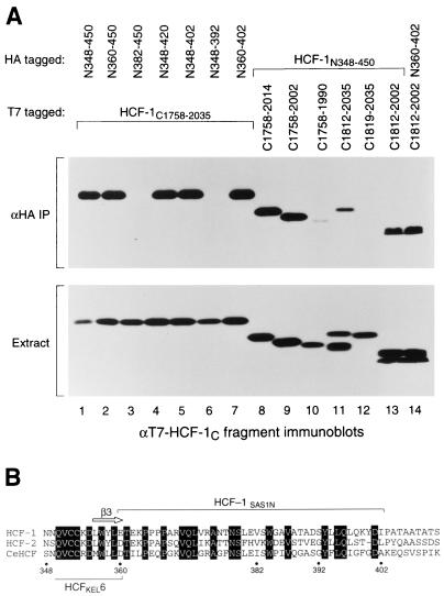 FIG. 5