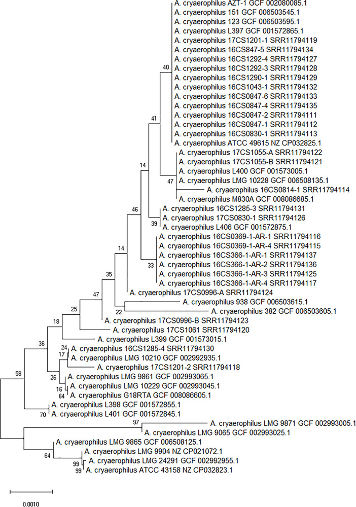 FIGURE 1