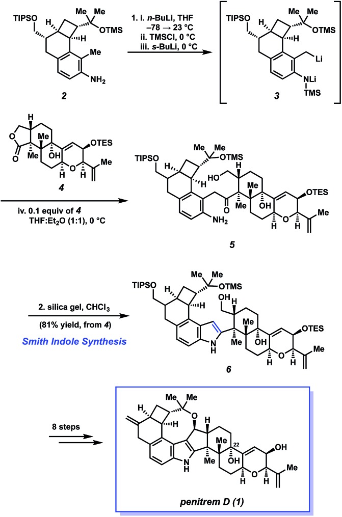 Scheme 1