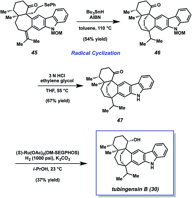 Scheme 9