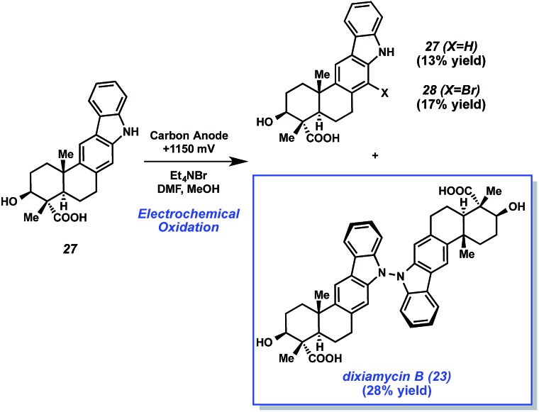 Scheme 6