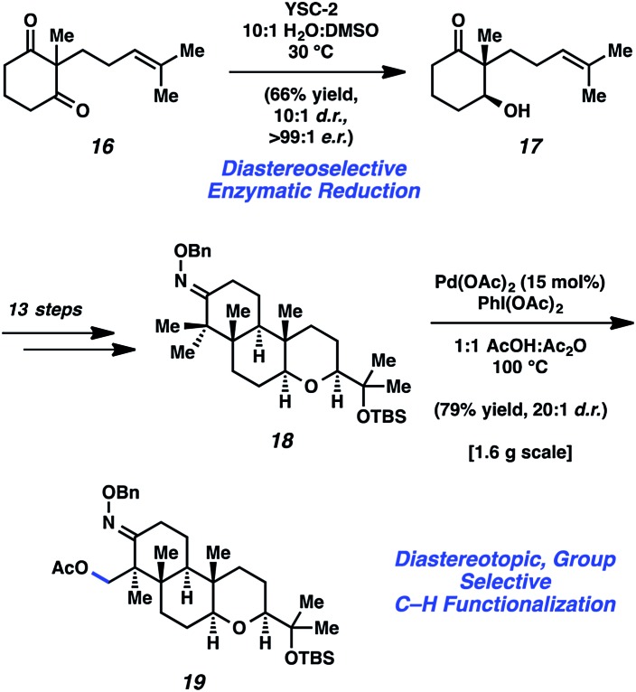 Scheme 3