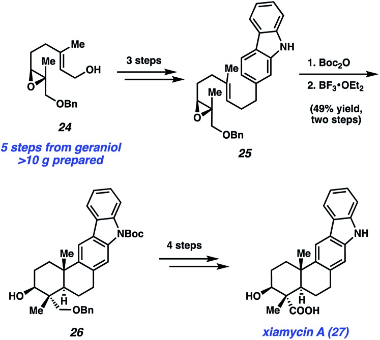 Scheme 5