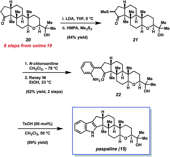 Scheme 4