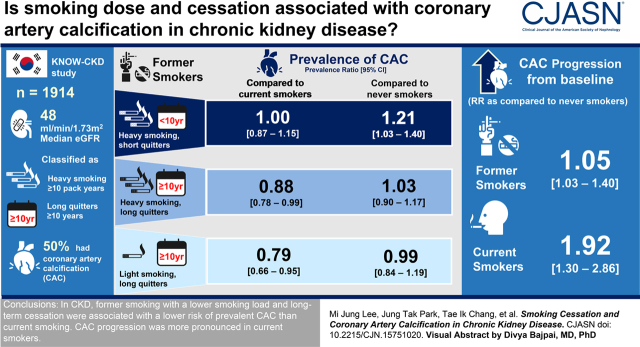 graphic file with name CJN.15751020absf1.jpg