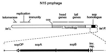 FIG. 1