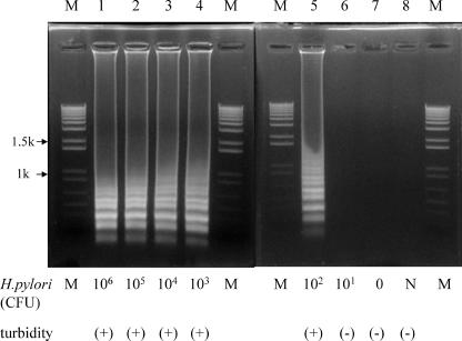 FIG. 3.