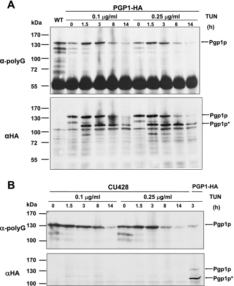 FIG. 6.