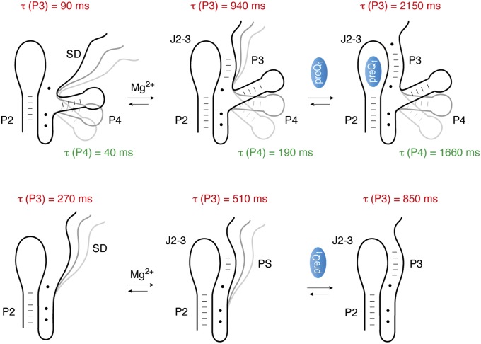 Fig. 5.