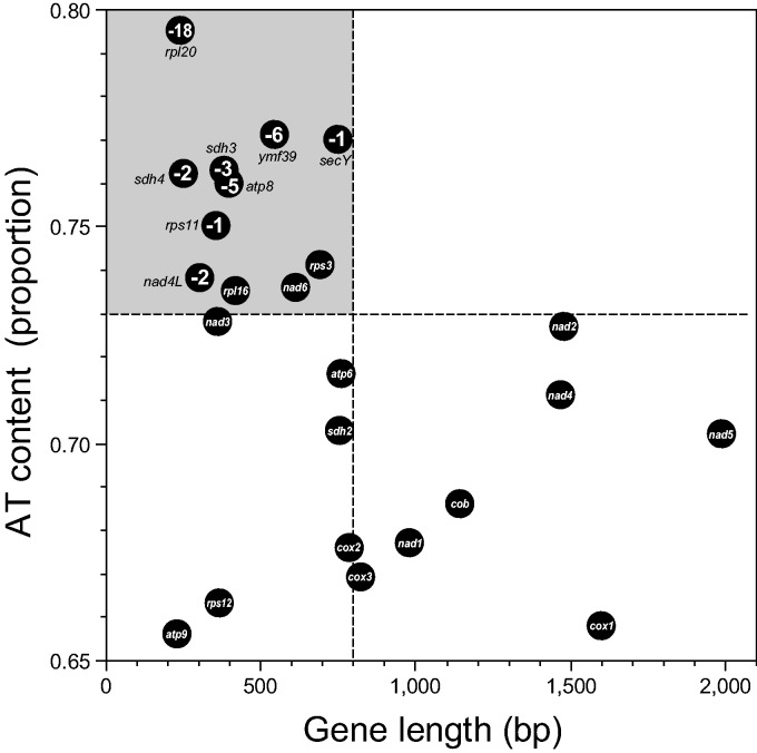 Fig. 3.—