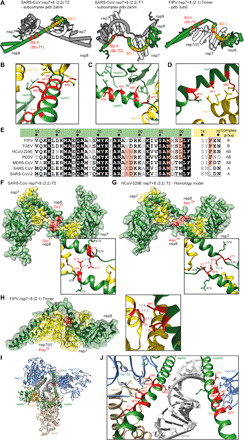 Fig. 8