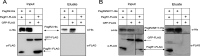 FIG 6