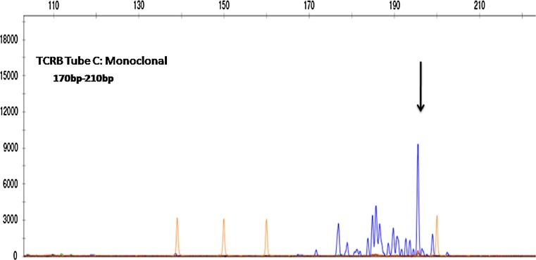 Fig. 3