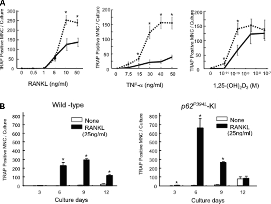 Figure 2.