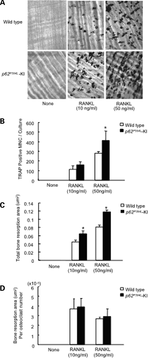 Figure 3.