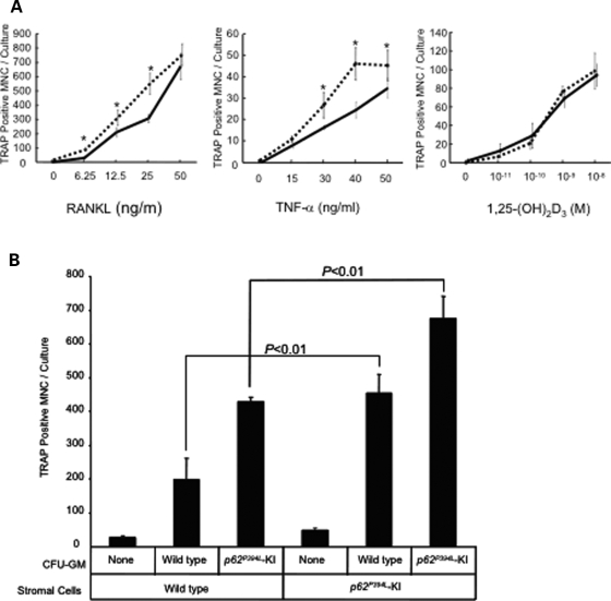 Figure 4.