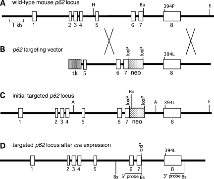 Figure 1.