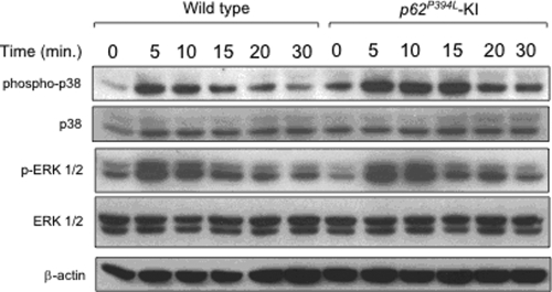 Figure 6.