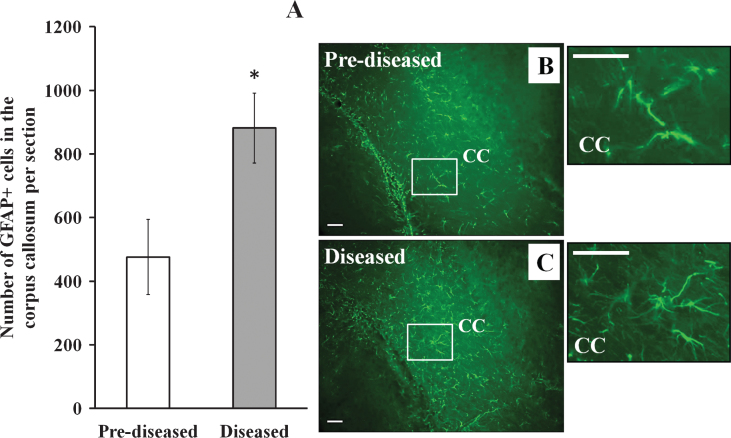 Fig.7