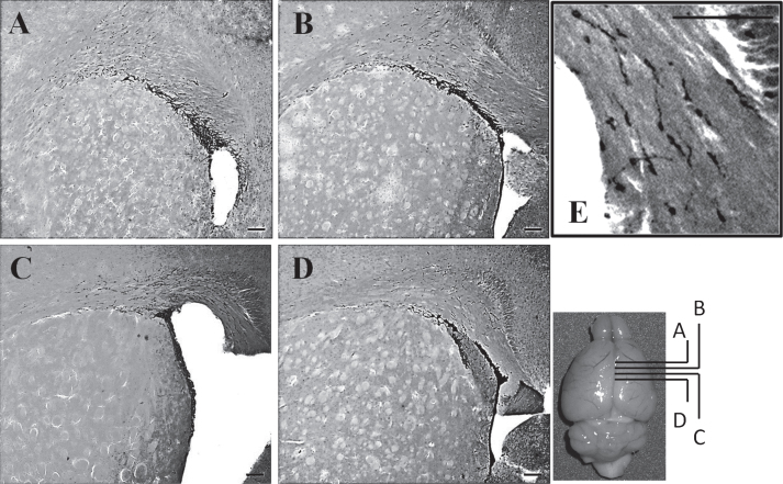 Fig.4