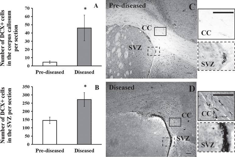 Fig.2