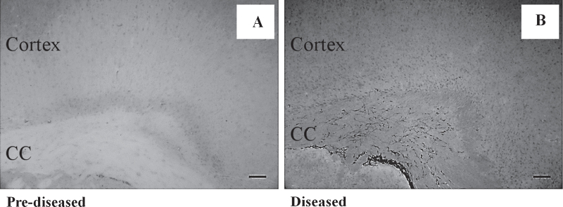 Fig.3